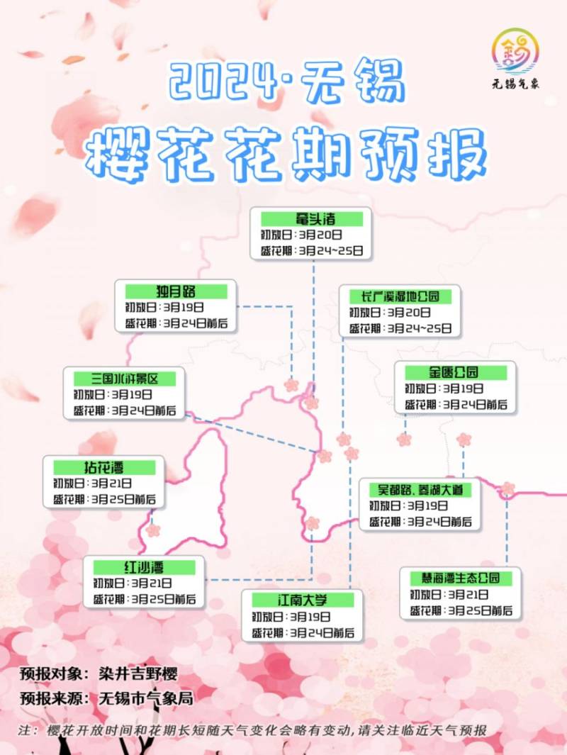 无锡历年樱花开放时间汇总（2）
