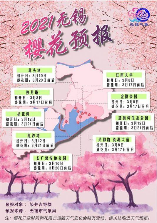 无锡历年樱花开放时间汇总（5）