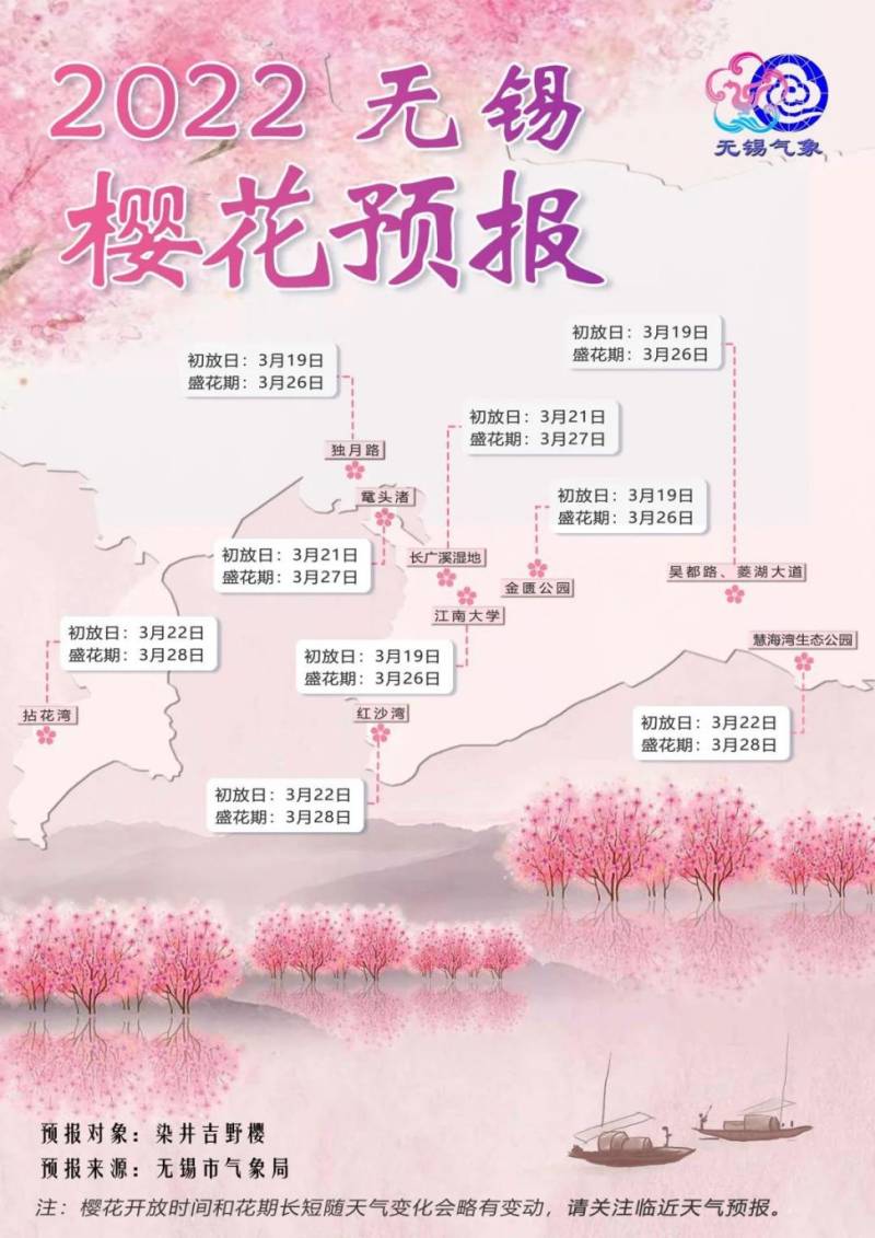 无锡历年樱花开放时间汇总（4）