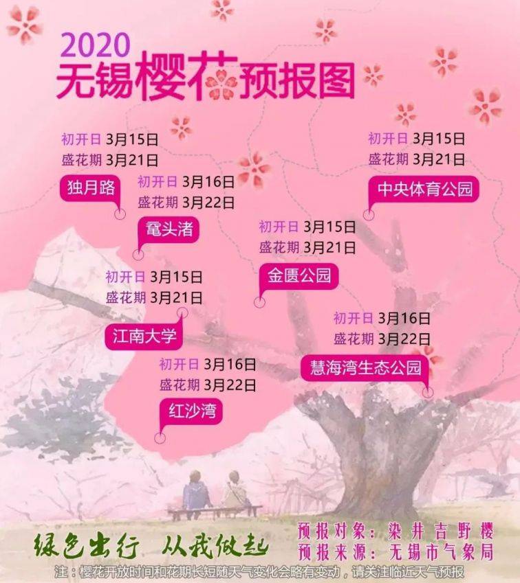 无锡历年樱花开放时间汇总（6）