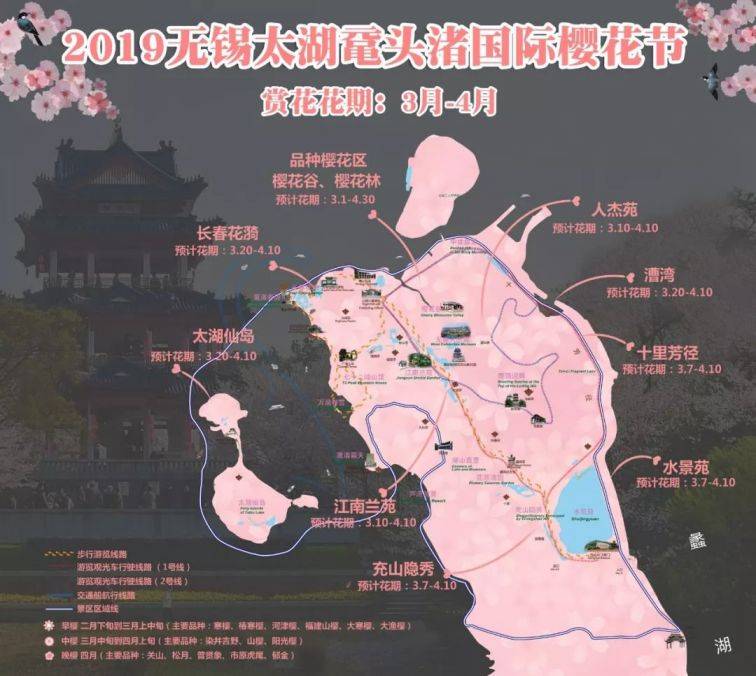 无锡历年樱花开放时间汇总（8）
