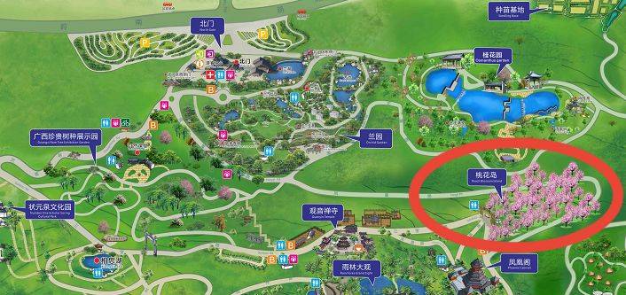 2025年南宁市青秀山桃花什么时候开