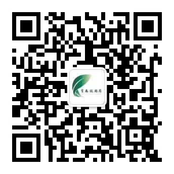 2025陕西宝鸡市第十六届赏花节攻略(时间+地点+活动)(3) 2025陕西宝鸡市第十六届赏花节攻略(时间+地点+活动)(3)