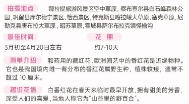 伊犁春季赏花花期攻略（赏花时间+花期+地点）