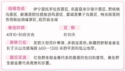 伊犁春季赏花花期攻略（赏花时间+花期+地点）（5）