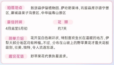 伊犁春季赏花花期攻略（赏花时间+花期+地点）（6）