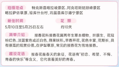 伊犁春季赏花花期攻略（赏花时间+花期+地点）（10）