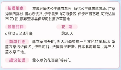 伊犁春季赏花花期攻略（赏花时间+花期+地点）（11）