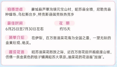 伊犁春季赏花花期攻略（赏花时间+花期+地点）（14）