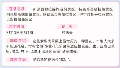 伊犁春季赏花花期攻略（赏花时间+花期+地点）（12）