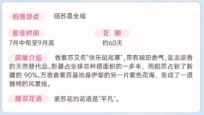 伊犁春季赏花花期攻略（赏花时间+花期+地点）（16）