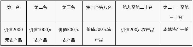 2025襄城区首届美丽乡村欢乐跑活动