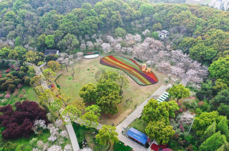 2025苏州花展上方山百花节攻略（时间+门票+游玩路线）
