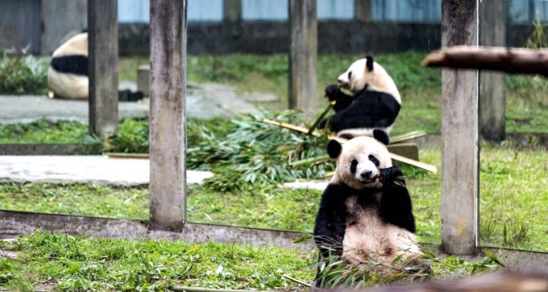 重庆清明节旅游景点推荐（开放时间+门票+打卡攻略）（8）