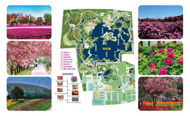 2025石家庄植物园赏花预告（时间+地点）